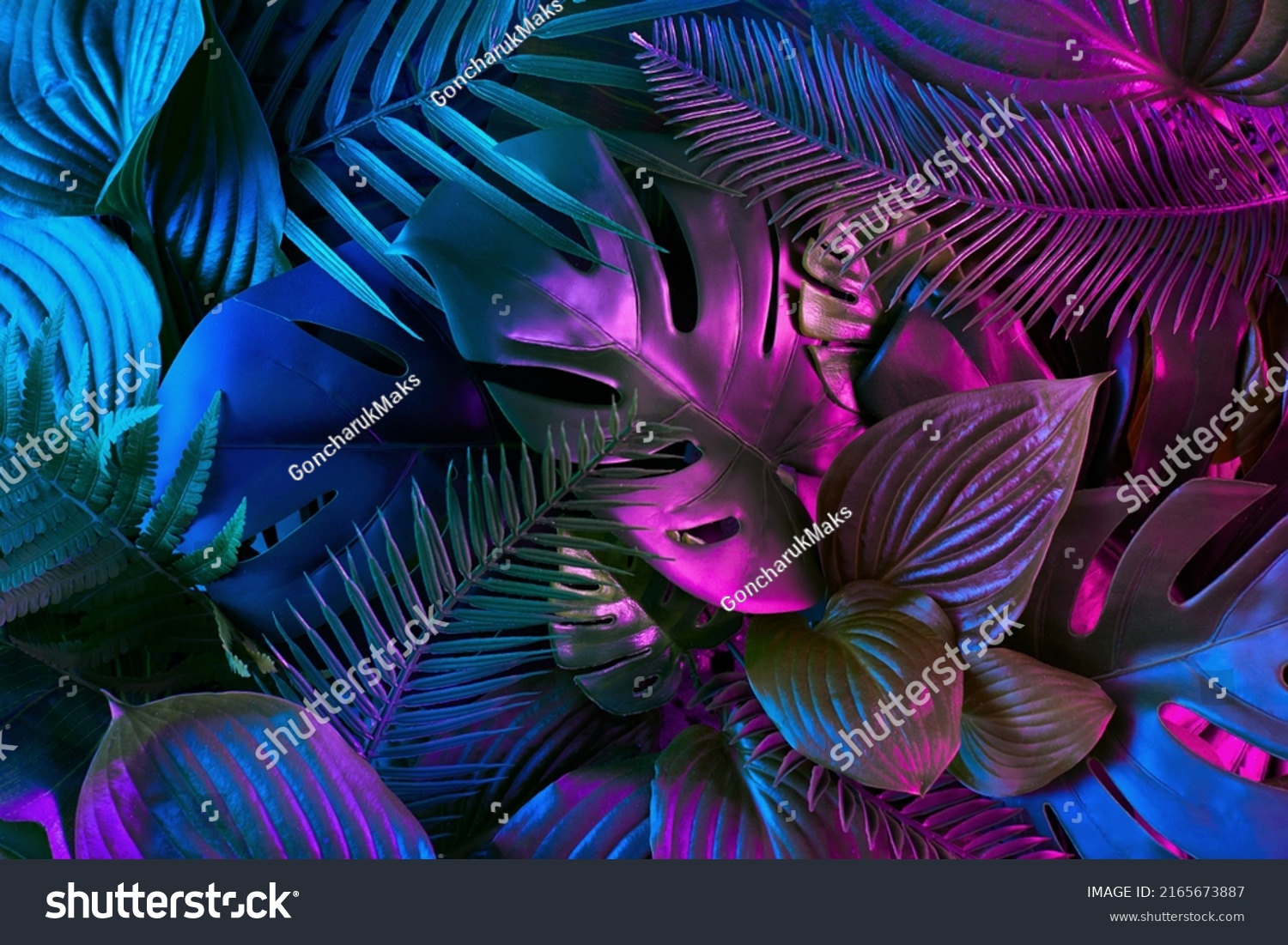 Creative flat lay with leaves in vibrant gradient holographic neon colors. Minimal jungle background. Creative summer concept. #2165673887