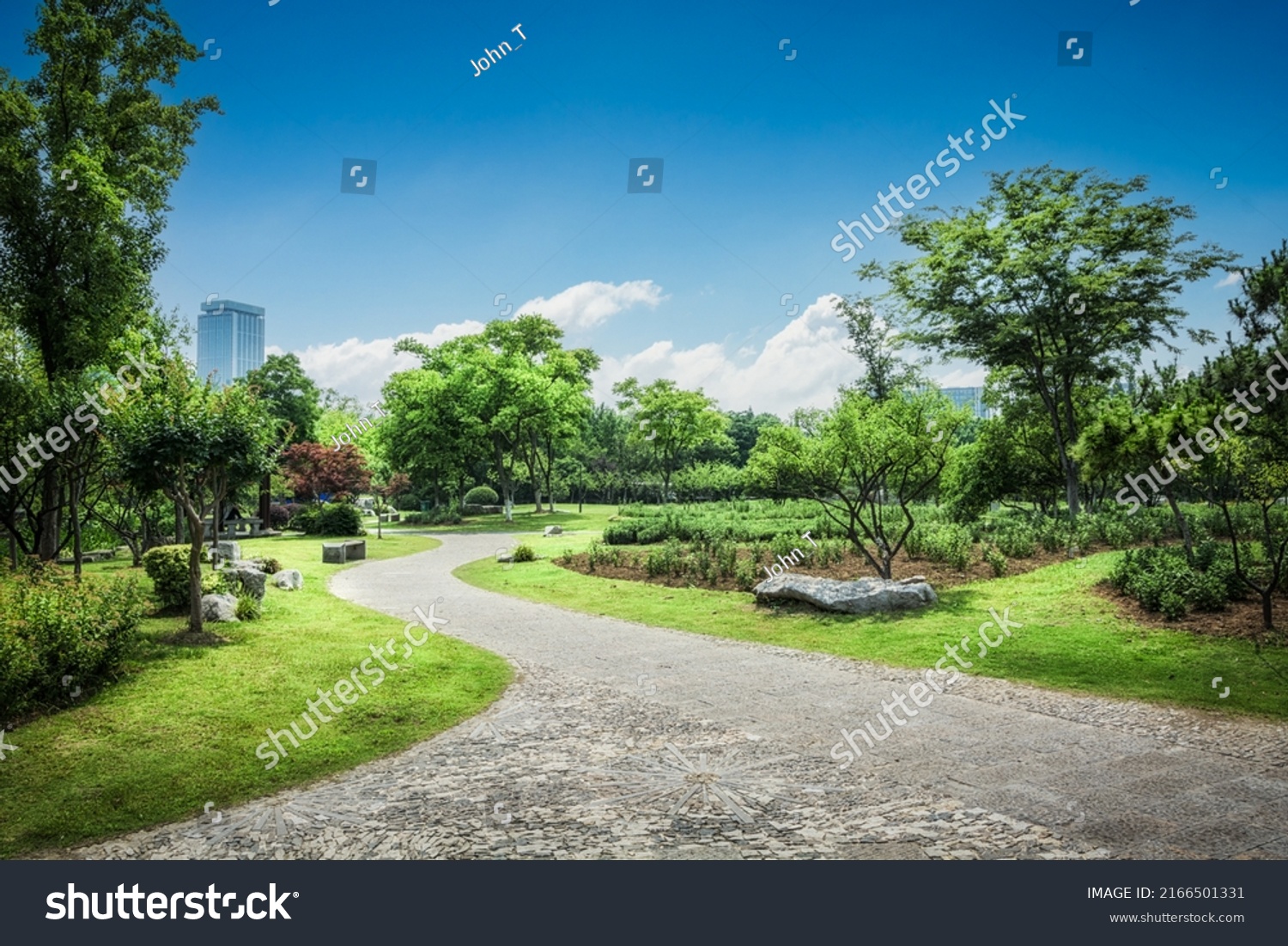 Nice green forest landscape in the city #2166501331