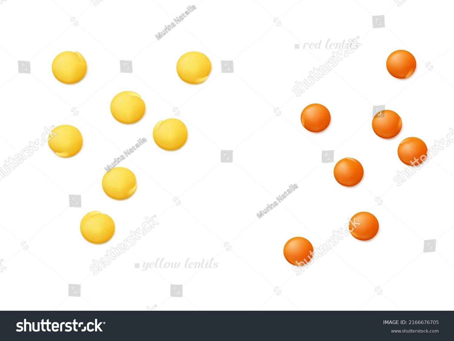 Scattered seeds of red and yellow (football) lentil isolated on white background. Top view. Realistic vector illustration. #2166676705