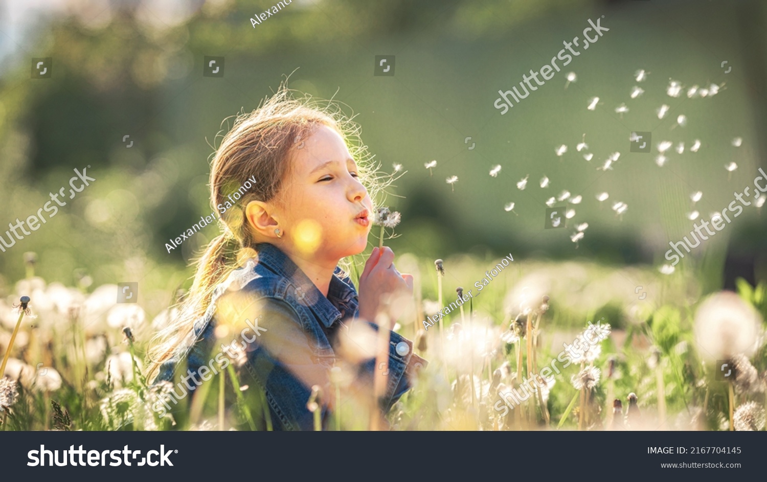 cute little girl blowing dandelions in a sunny flower meadow . Summer seasonal outdoor activities for children. The child smiles and enjoys summer fun #2167704145
