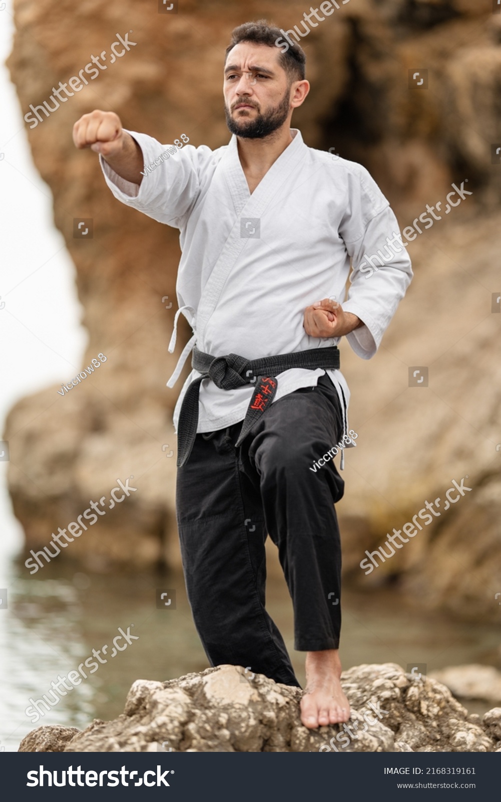 Karate master in kimono on a rock throwing a punch with a black belt with the Japanese word "Bushido" written on it. #2168319161