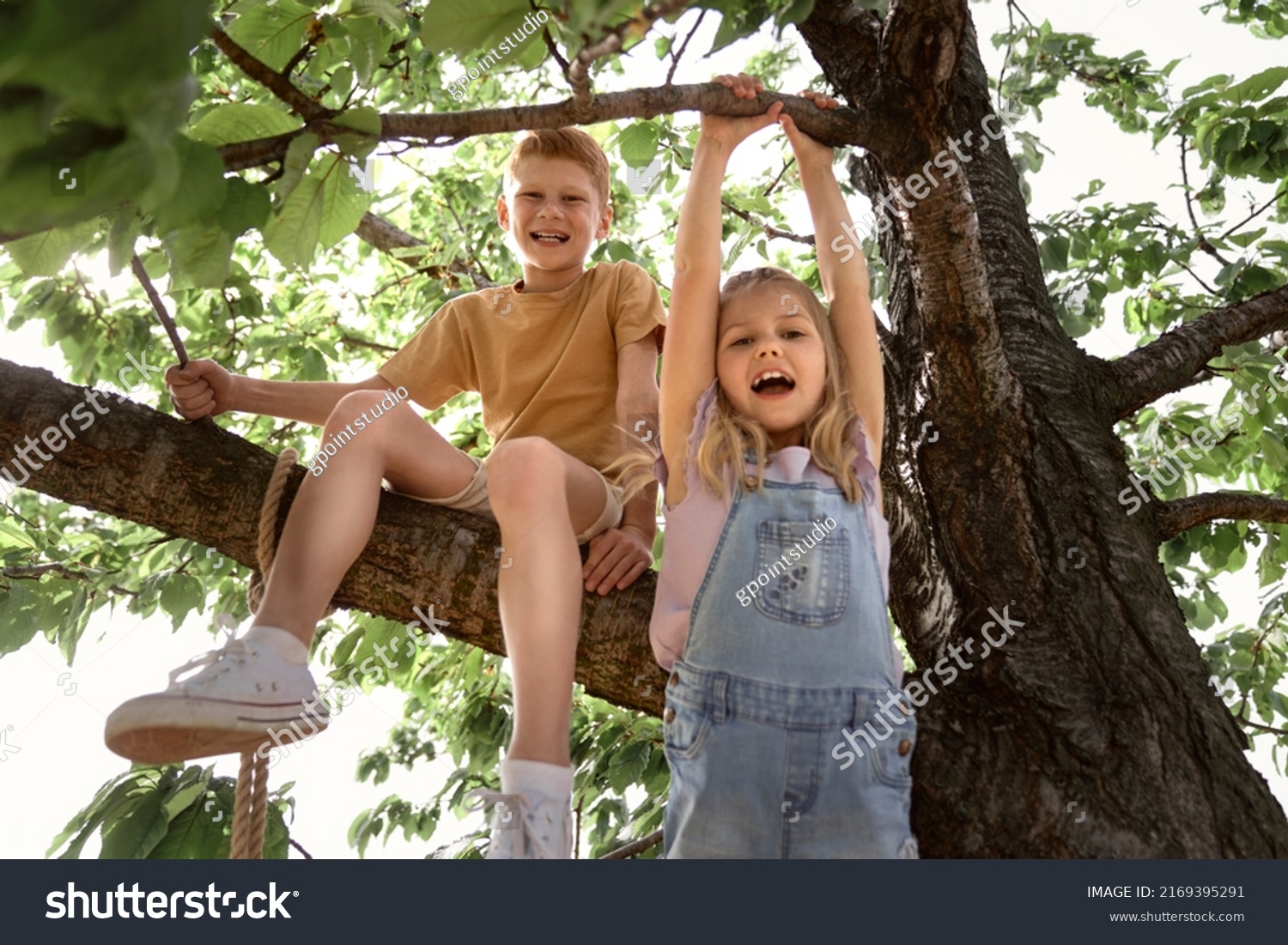 Portrait of kids climbing at the tree in summer day  #2169395291