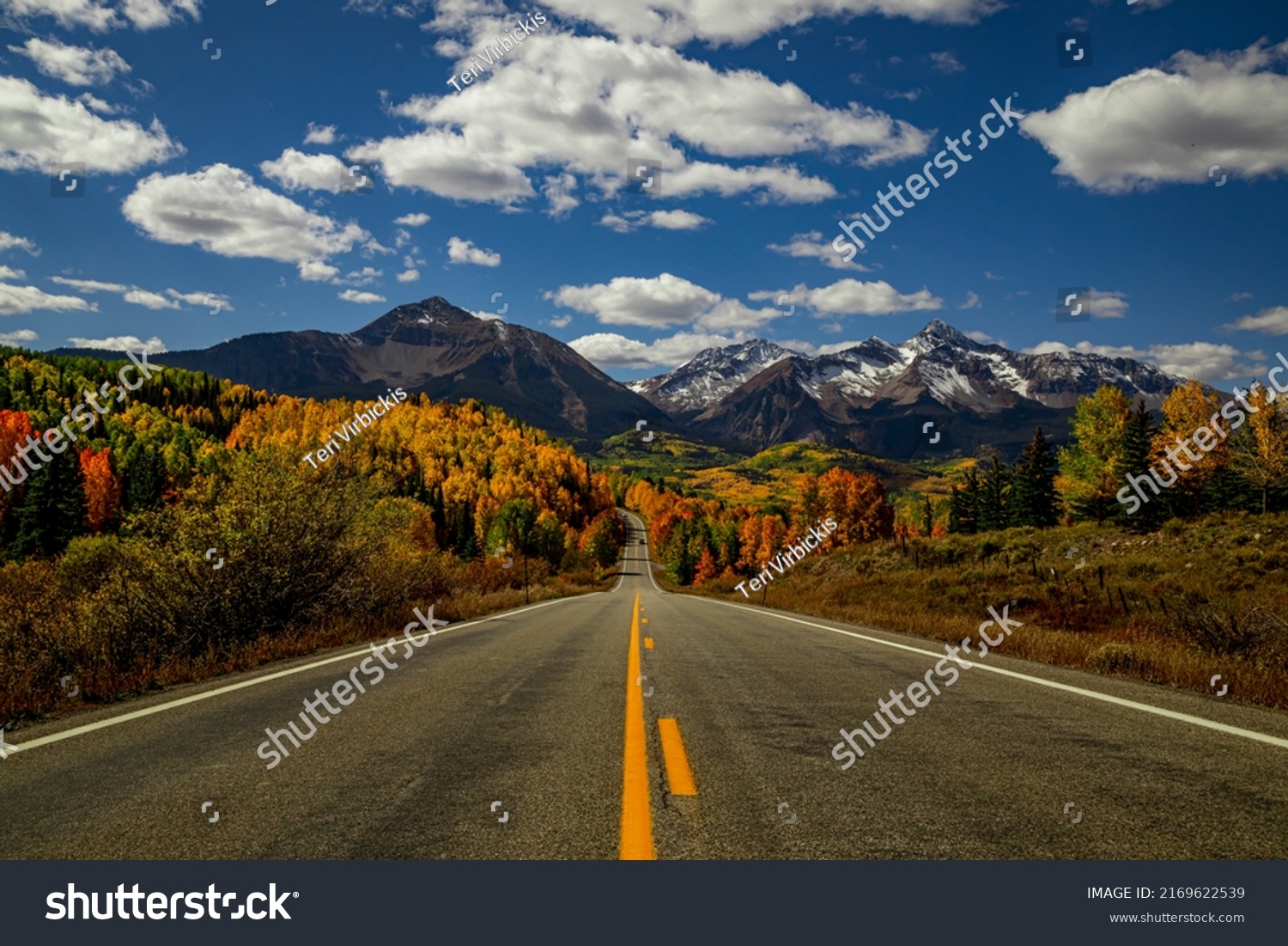 Sunny autumn afternoon scenic drive in the San Juan Mountains near Telluride Colorado with snow covered peaks in distance, yellow and orange Aspen trees near peak fall color - horizontal orientation #2169622539