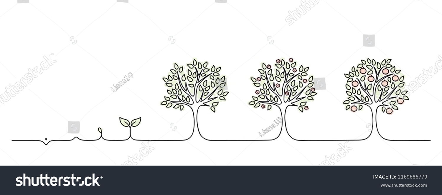 plant growing from seedling into tree vector illustration, life cycle of apple tree from seed or sapling, blossoms turning into fruits on white background, nature concept, black line #2169686779