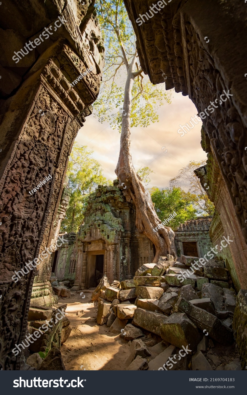 (Selective focus) Stunning view of the Ta Prohm temple with trees growing out of the ruins. Ta Prohm is one of the most visited complexes in Cambodia’s Angkor region. #2169704183