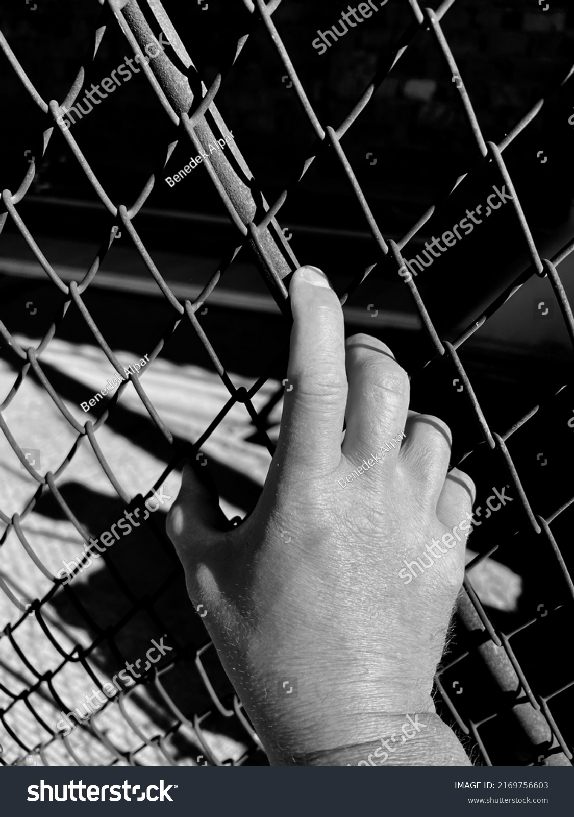 Vertical monochrome image, caucasian man holding the wire fence at the correctional institute. #2169756603