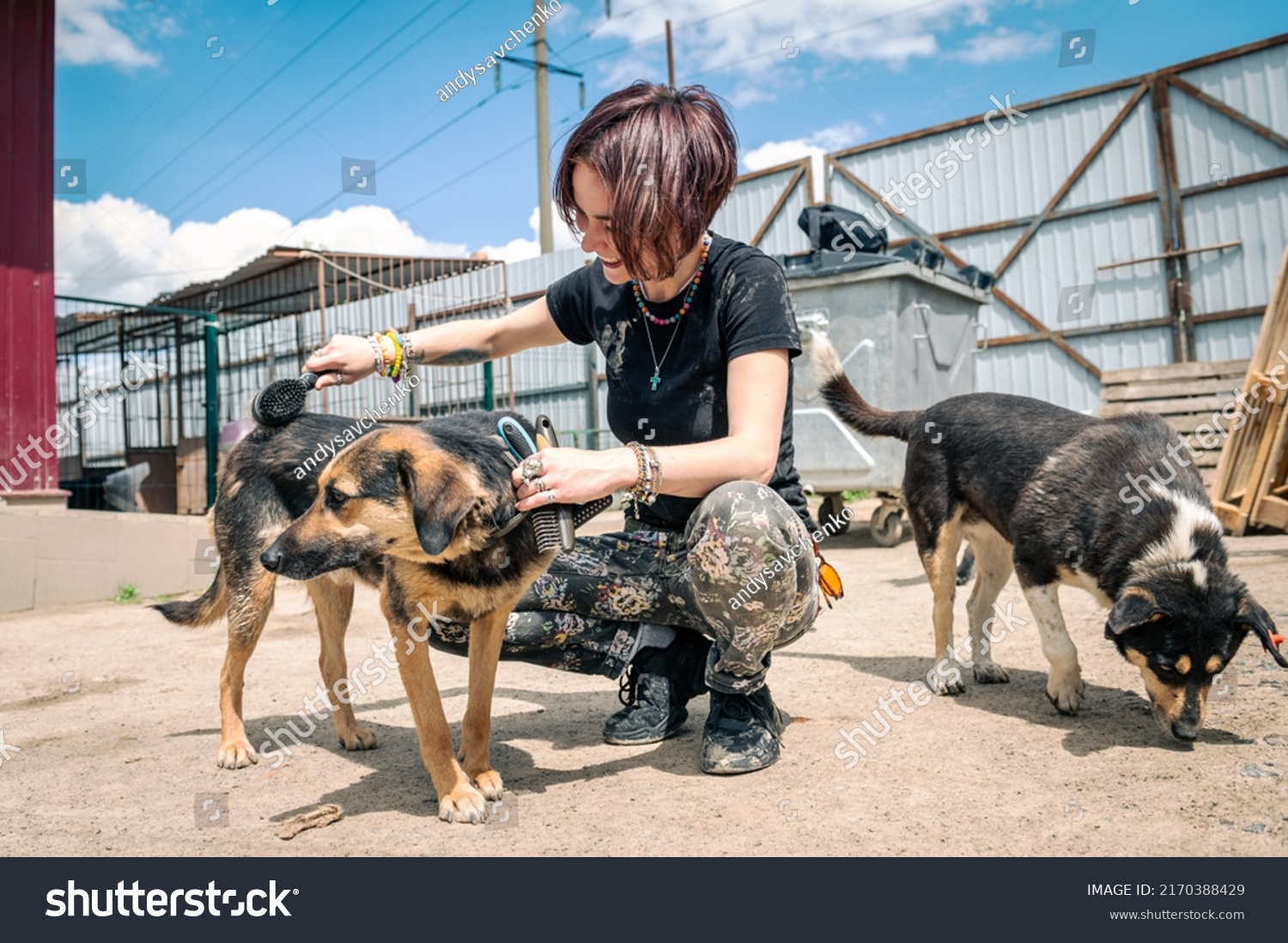 Dog at the shelter. Animal shelter volunteer feeding the dogs. Lonely dogs in cage with cheerful woman volunteer #2170388429