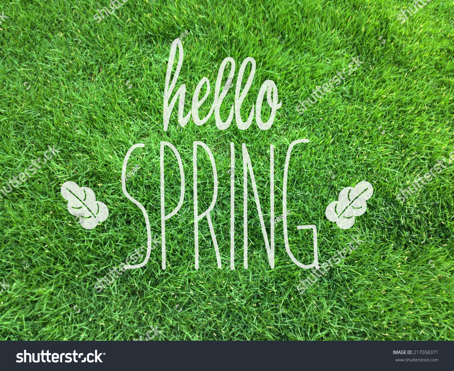 hello spring/spring/grass #217058371