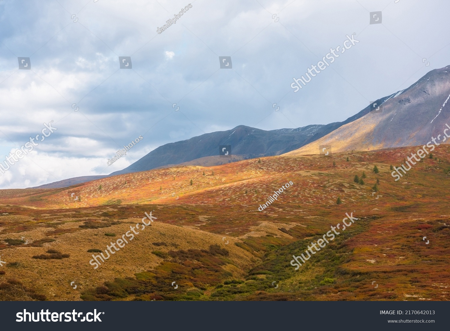 Motley autumn landscape with sunlit hills and mountain range silhouette under dramatic cloudy sky. Vivid autumn colors in mountains. Sunlight on multicolor hills and rainy clouds in changeable weather #2170642013