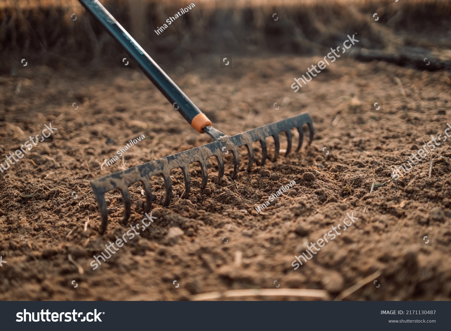 Loosening the soil with a rake in the greenhouse. Close up of an new metal garden rake cleaning earth at spring time #2171130487