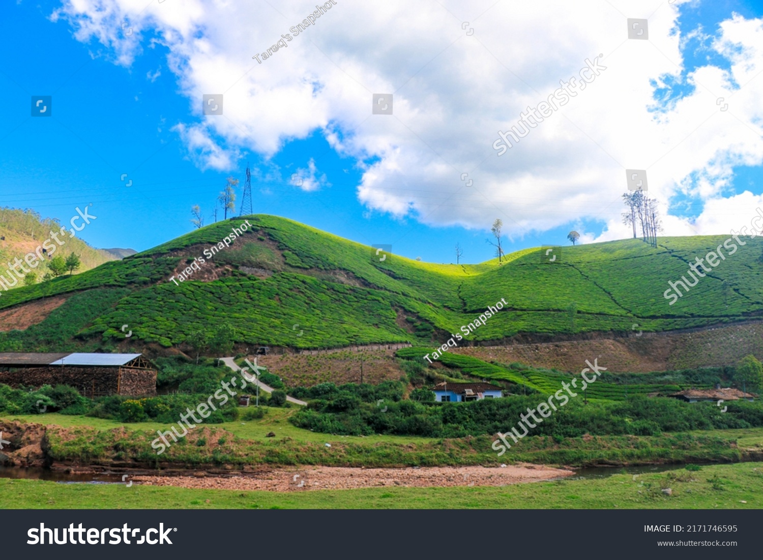Magnificent View of Tea Plantation from Kannan Devan Hills, Munnar, Kerala, India #2171746595