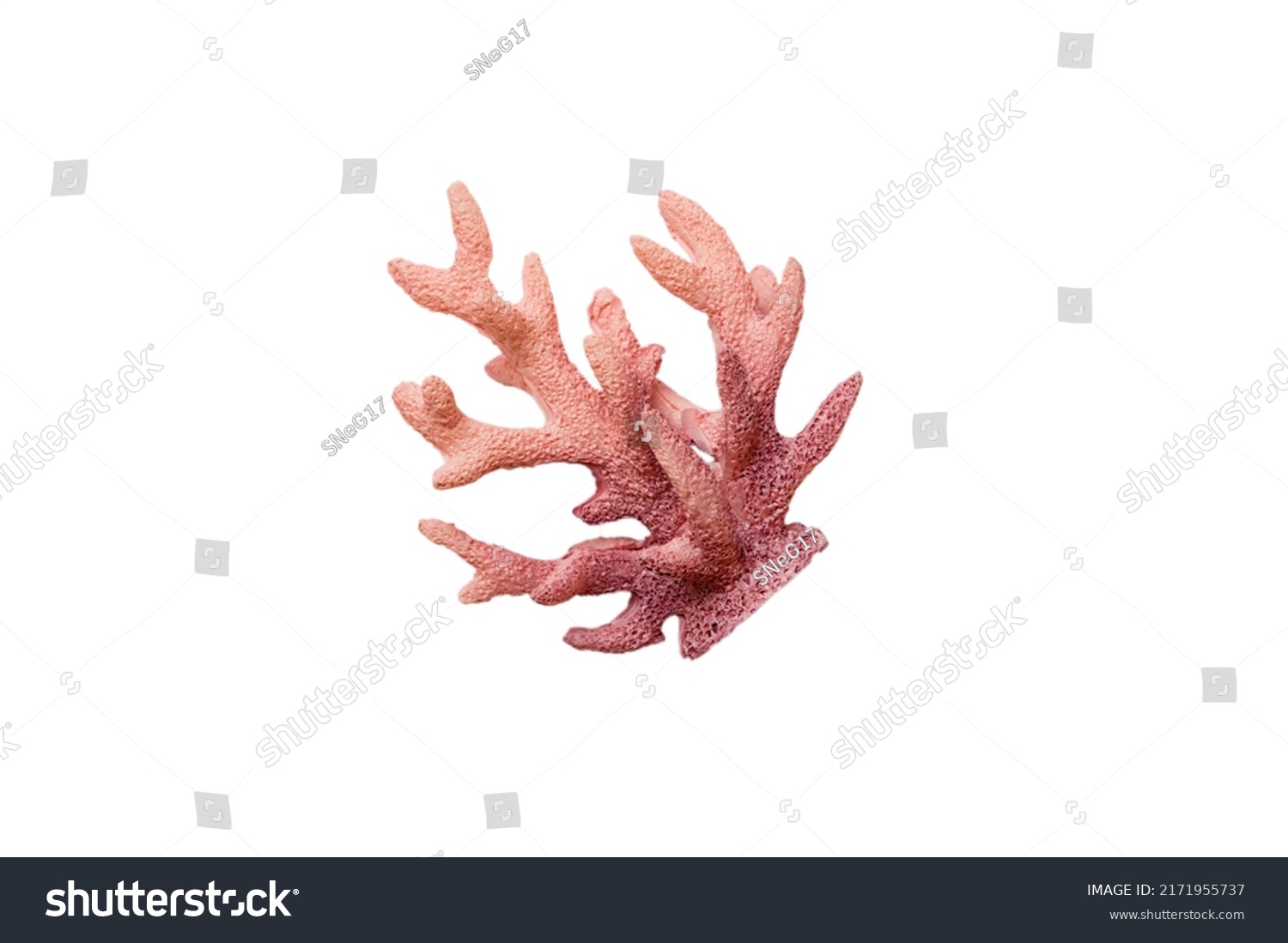 Pink decorative coral isolated on white background. perspective view. #2171955737