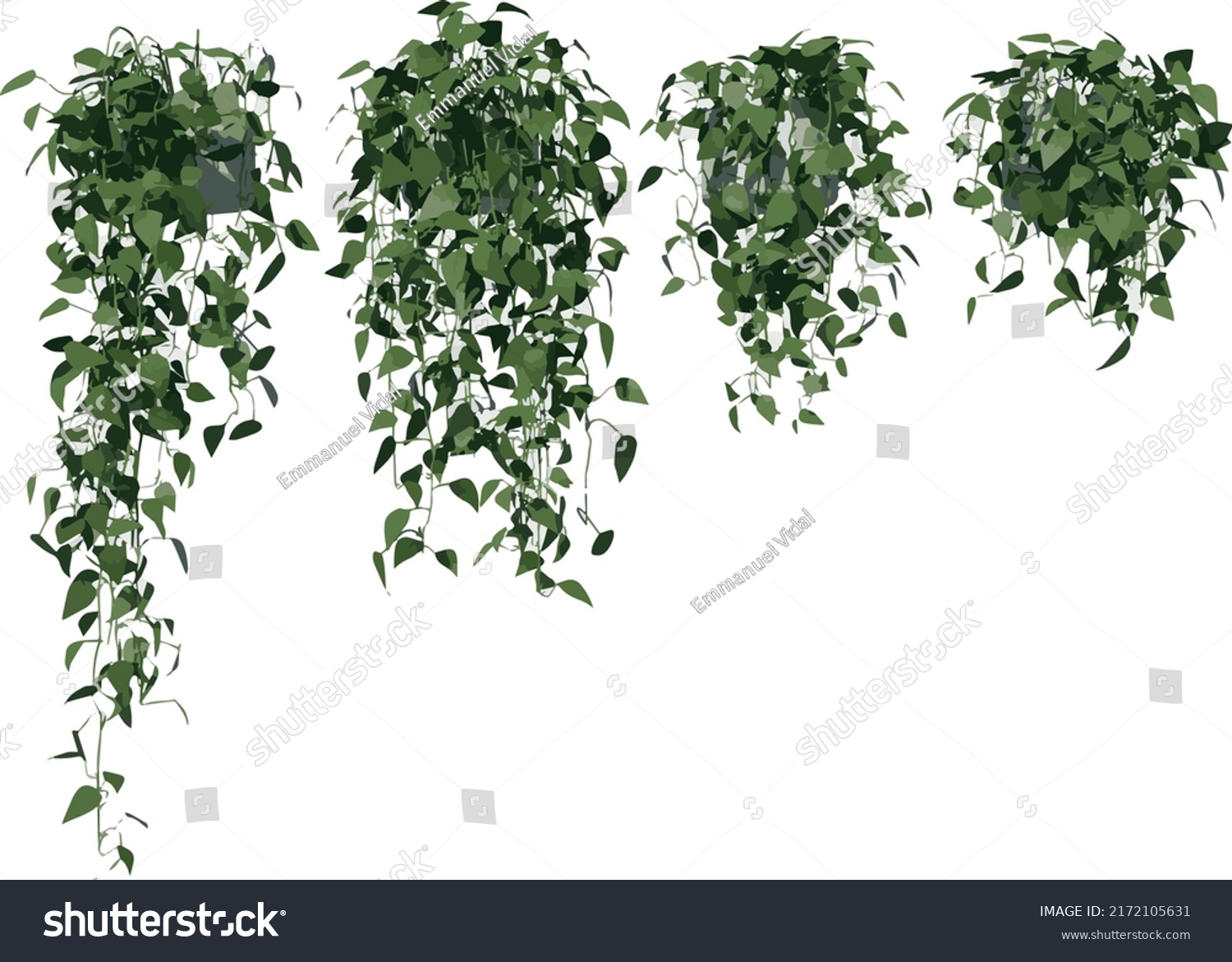 Front view of Plant (Hanging Creepers Plants 1) Tree illustration vector	 #2172105631