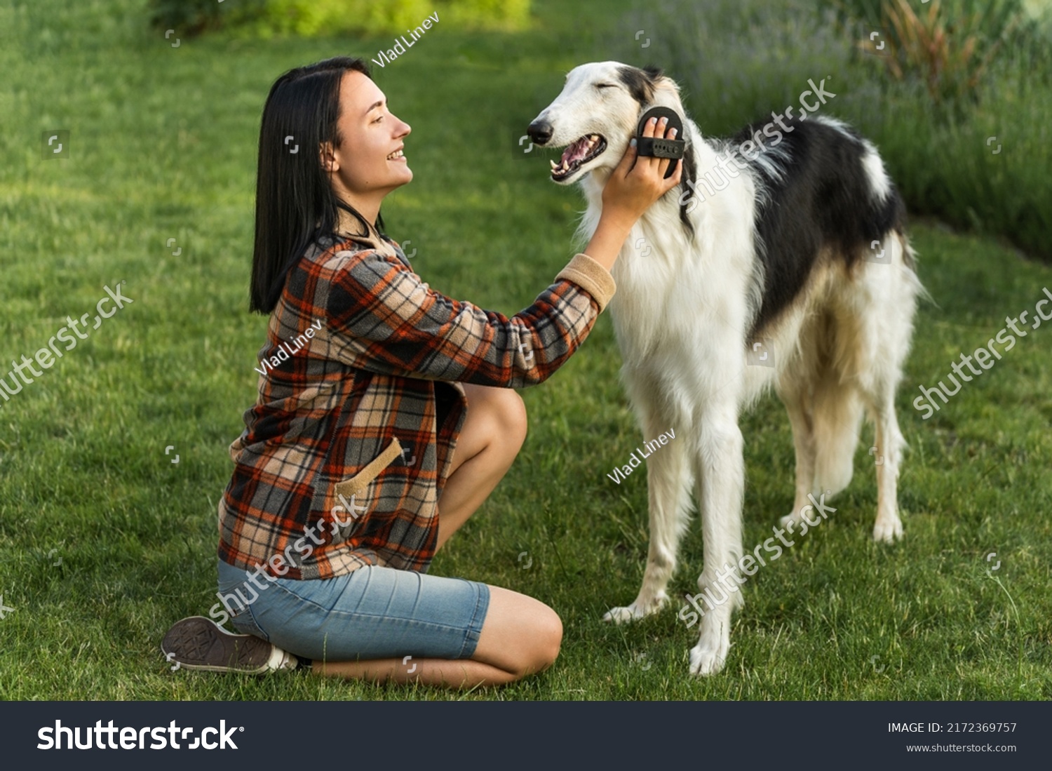 Smiling woman combs her dog breed Russian wolfhound on the street, photo in full stature #2172369757