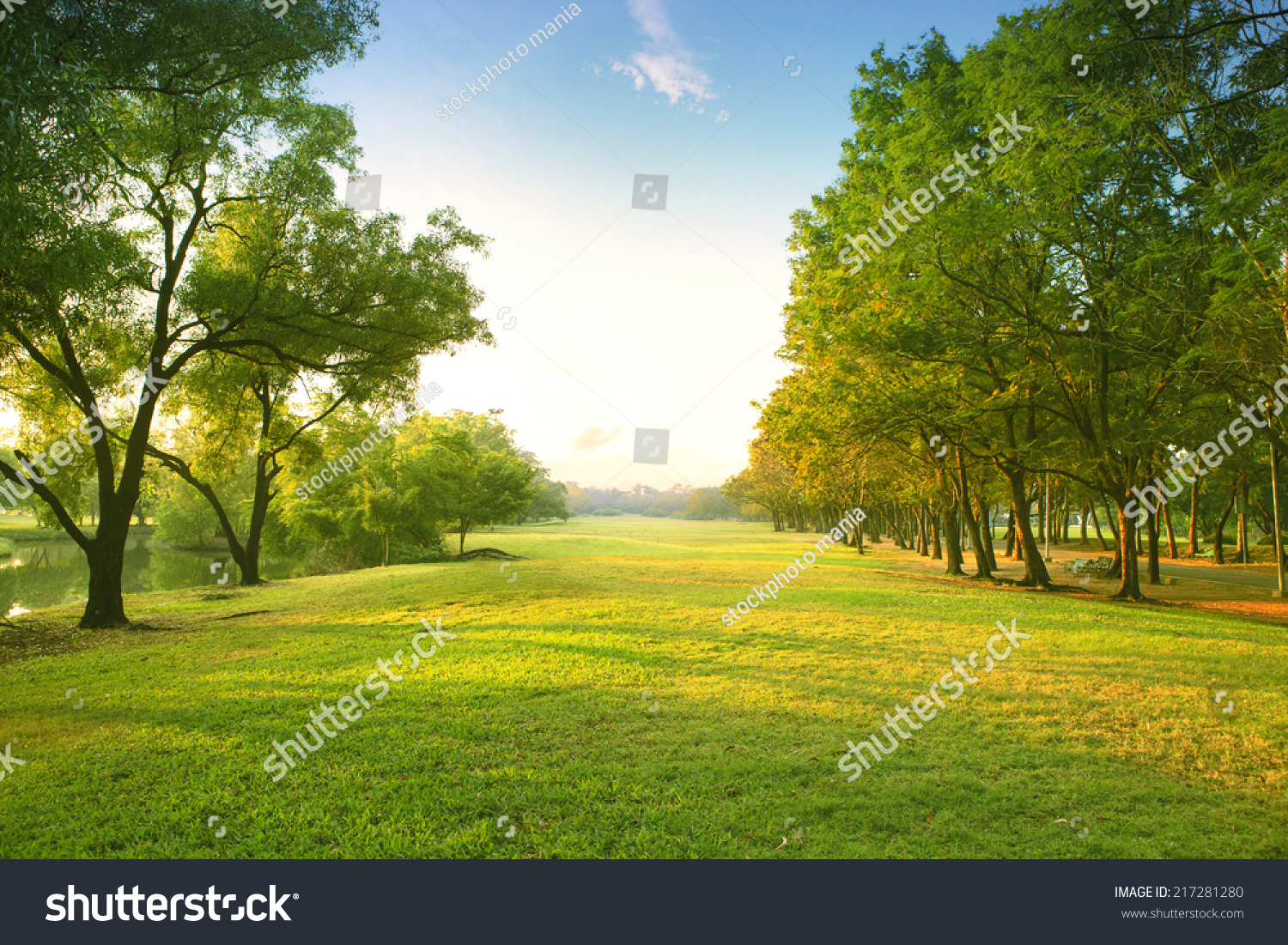 beautiful morning light in public park with green grass field  #217281280
