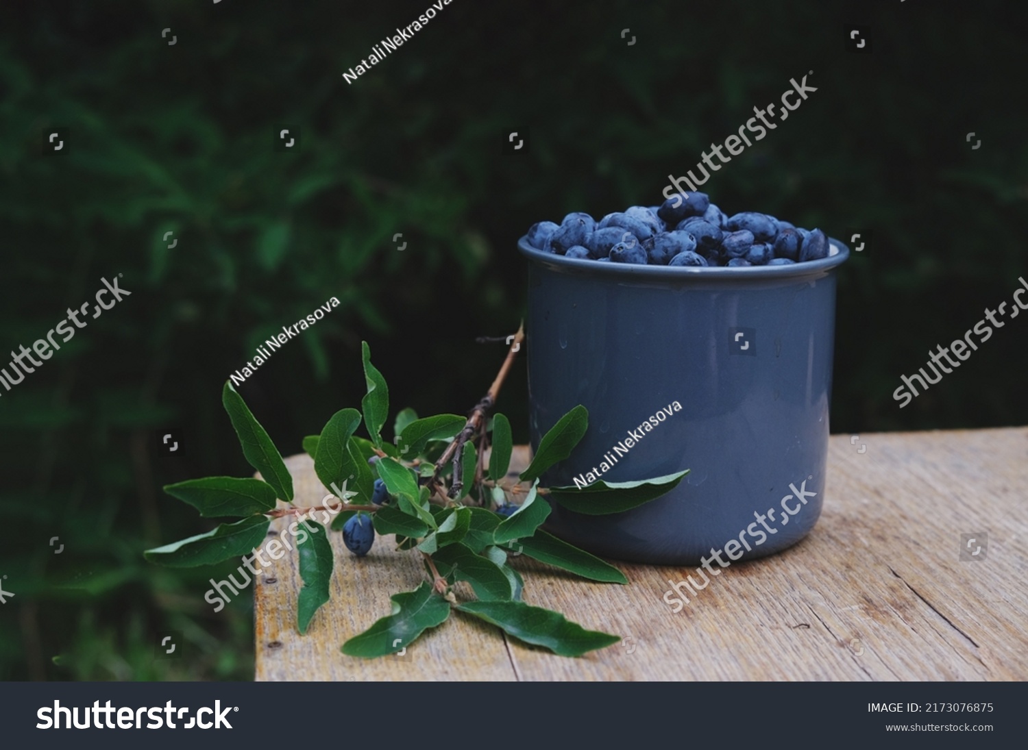 Blue honeysuckle in metal mug on wood background. Fresh honeysuckle berries harvest from berry farm. #2173076875