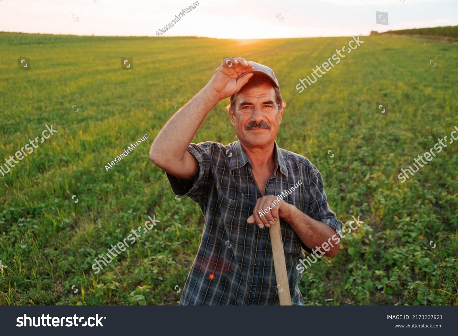 glad Latin American farmer with cap looking at the camera cheerfully and smiling at sundown. Portrait of the successful senior farmer with moustached smiling at camera #2173227921