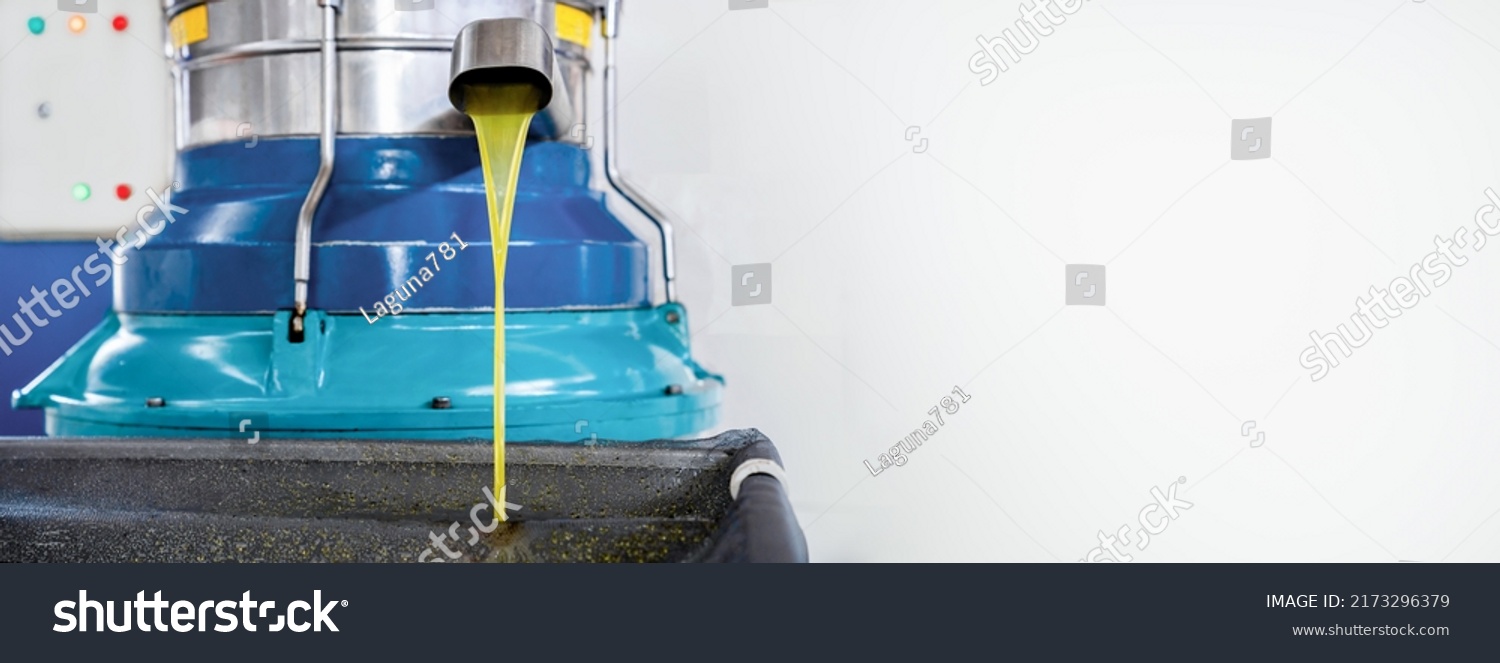 Process of producing fresh olive oil of first cold pressing at factory. Olive oil pours from tap of spin machine. Copy space, banner #2173296379