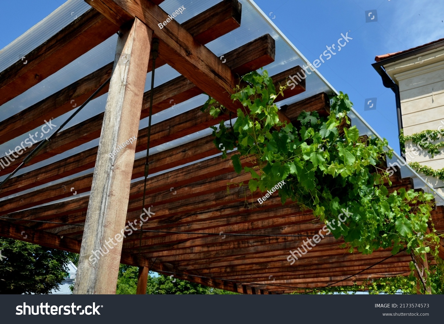 terrace with wooden pergola and plexiglass roof. vines are straining, crawling under the beams. garden or park. sitting with dry wall wine region. restaurant countryside france, truss #2173574573