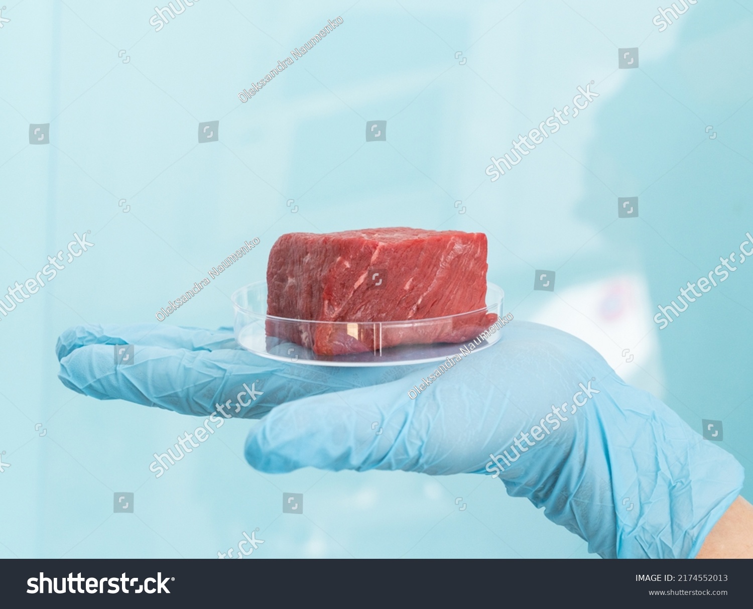Lab grown meat concept - meat in petri dish #2174552013