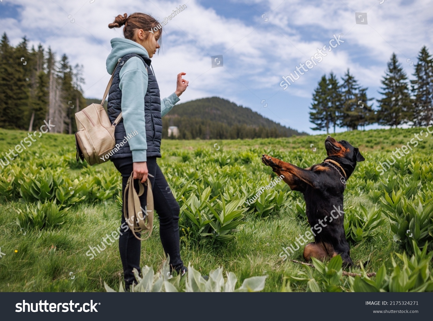 Cheerful attentive strict teenage girl in suit stands and gives commands to her big obedient trained friend dog of Rottweiler breed, on green meadow with mountain vegetation #2175324271