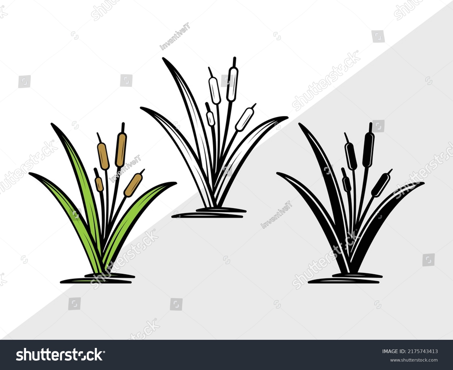 Cattail Svg Printable Vector Illustration Royalty Free Stock Vector 2175743413