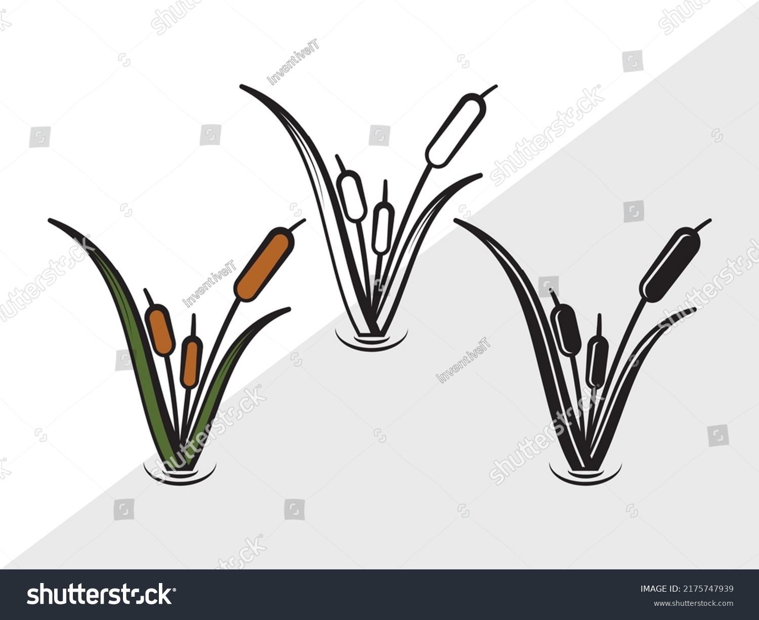 Cattail Svg Printable Vector Illustration Royalty Free Stock Vector 2175747939