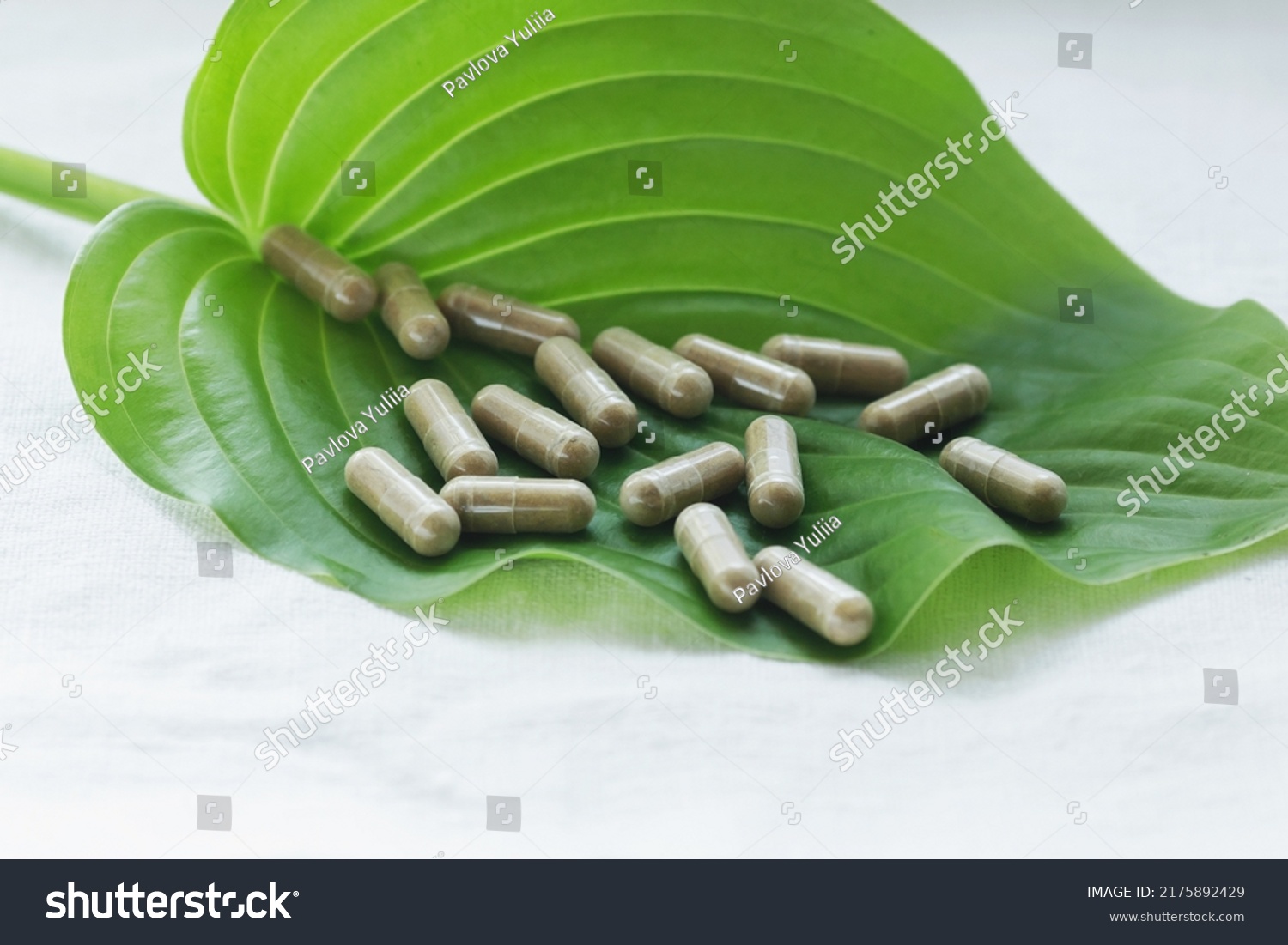Dietary supplements or over the counter drugs on a green fresh leaf #2175892429