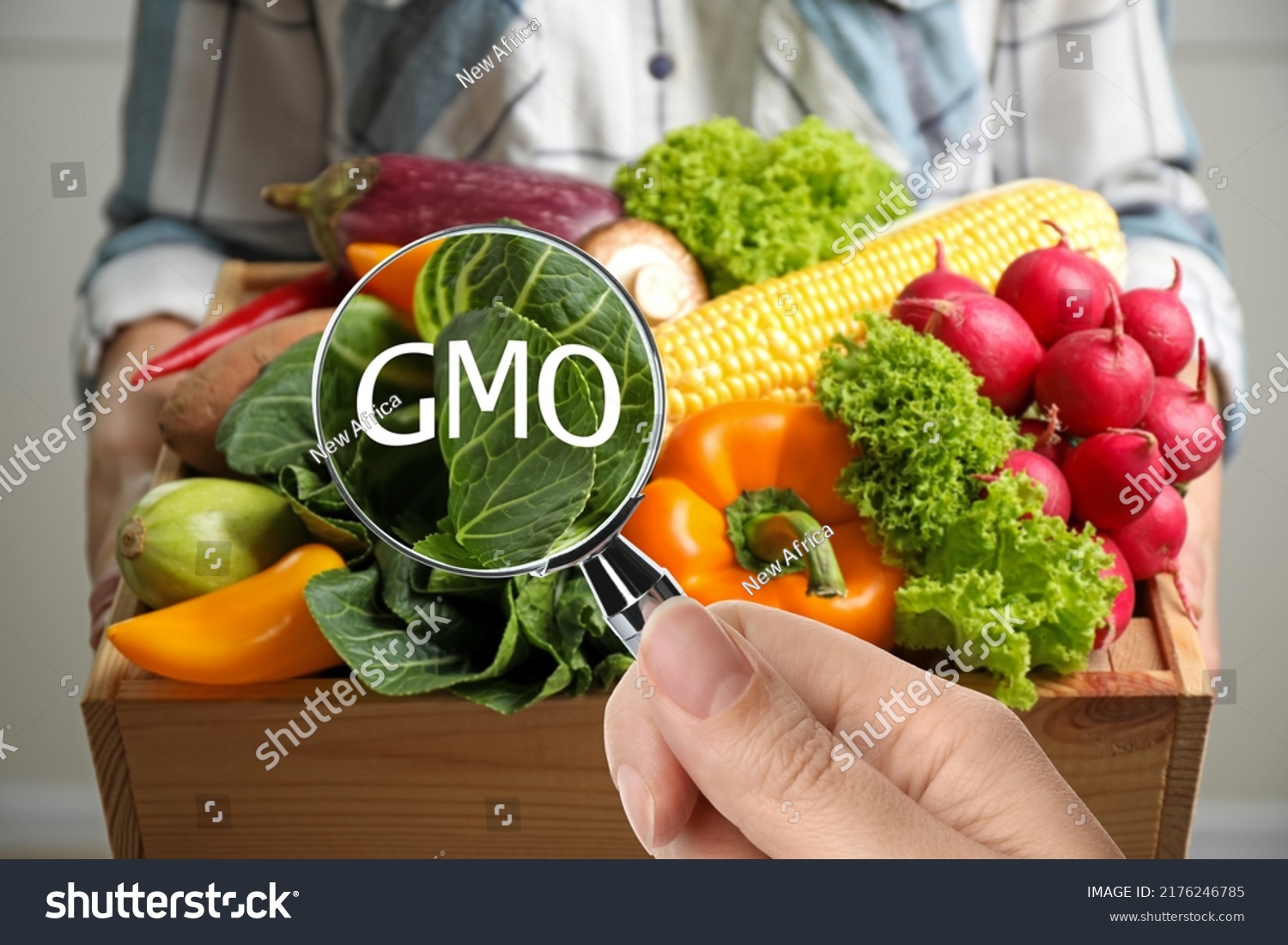 View through magnifying glass on fresh vegetables. GMO concept #2176246785