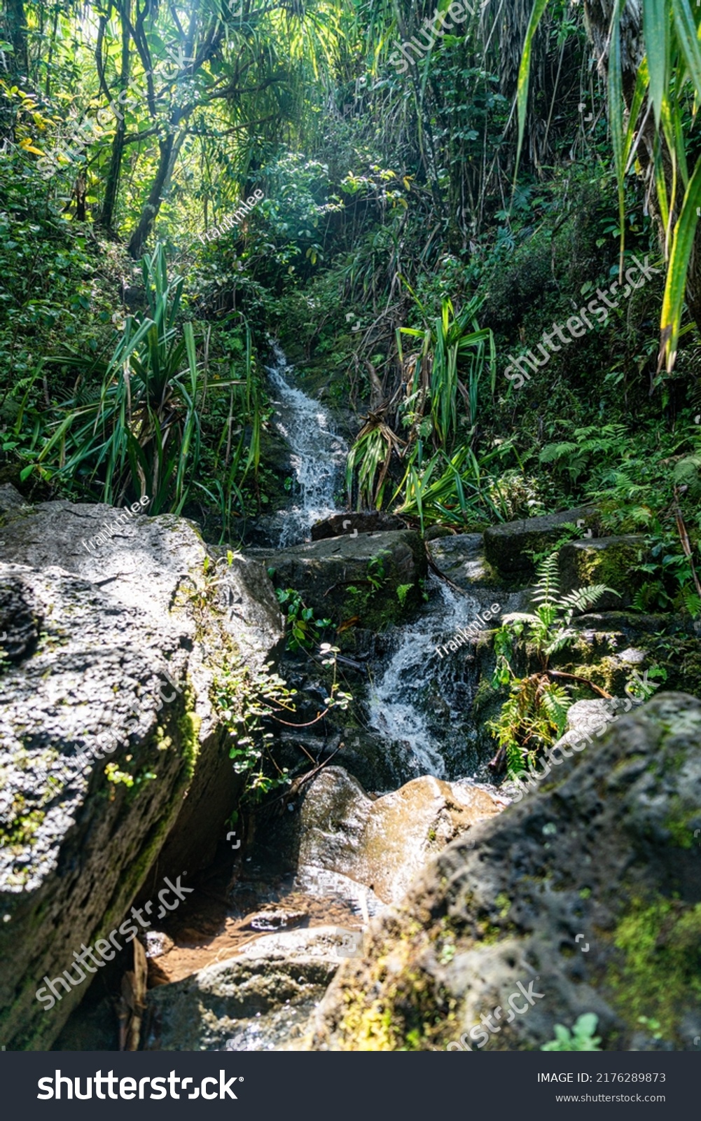 Water stream at the Nā Pali Coast State Wilderness Park #2176289873