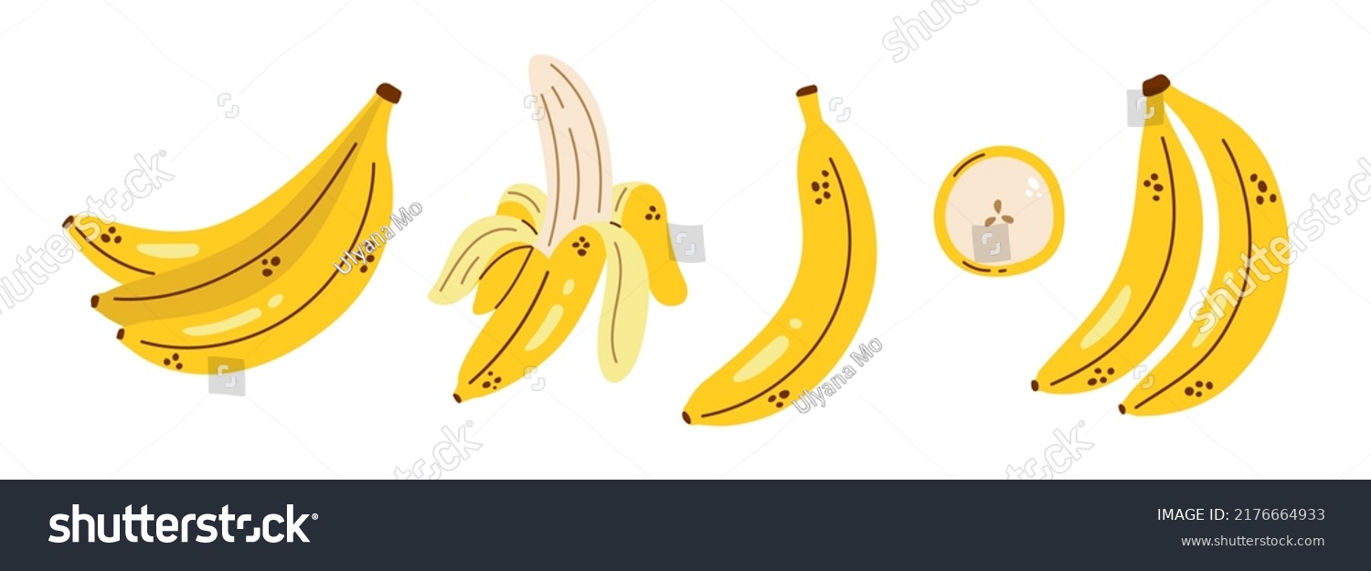 Vector banana set. Cute collection with bananas. Peeled banana, banana bunch and banana slice. Tropical fruit. #2176664933