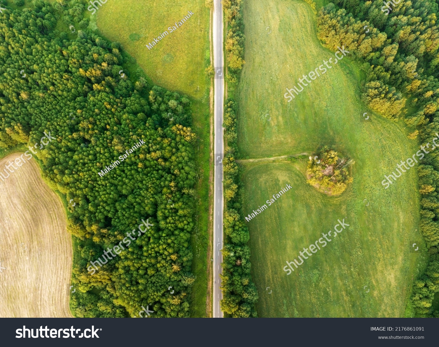 Highway through forest with pine trees and lakes, aerial view. Road with forrest trees and car. Forest road for transpotrs. Aerial above view of freeway. Asphalt road, top view. #2176861091