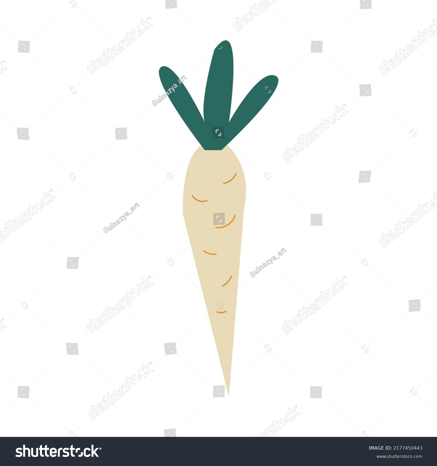 Daikon radish with green stem isolated vegetable root. Vector illustration. #2177450443