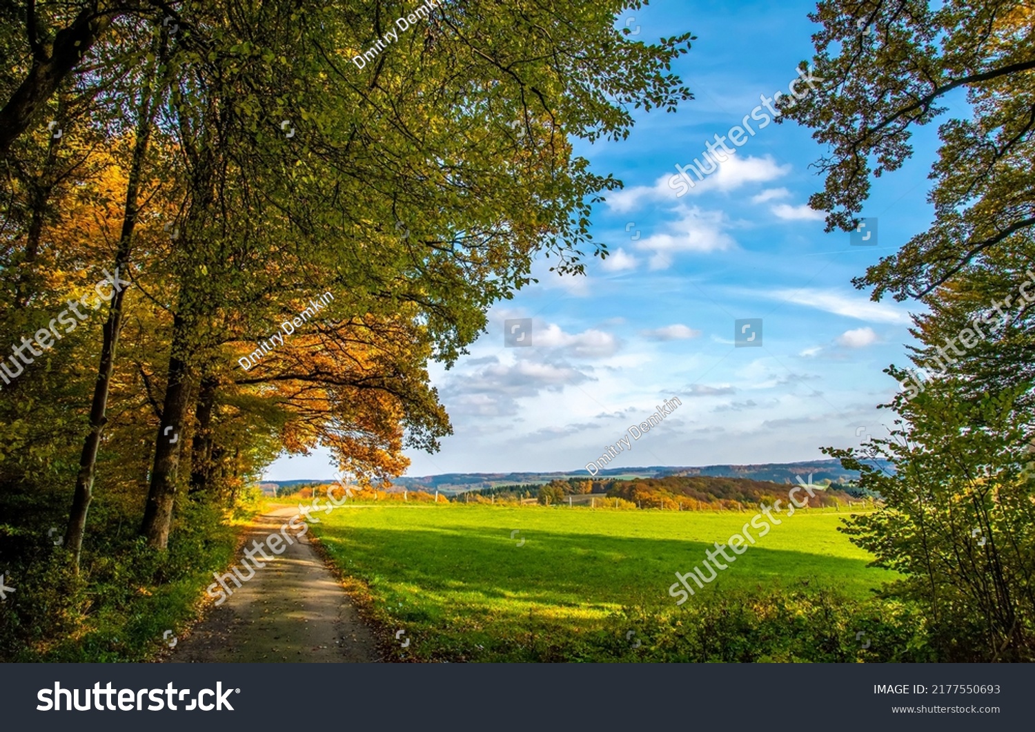 Autumn country road landscape. Countryside in autumn #2177550693