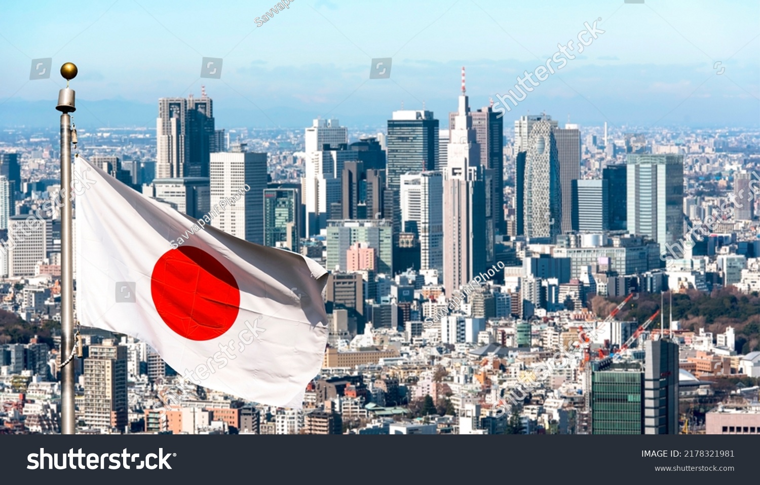 Panoramic view of Tokyo and Japanese flag, Japan #2178321981