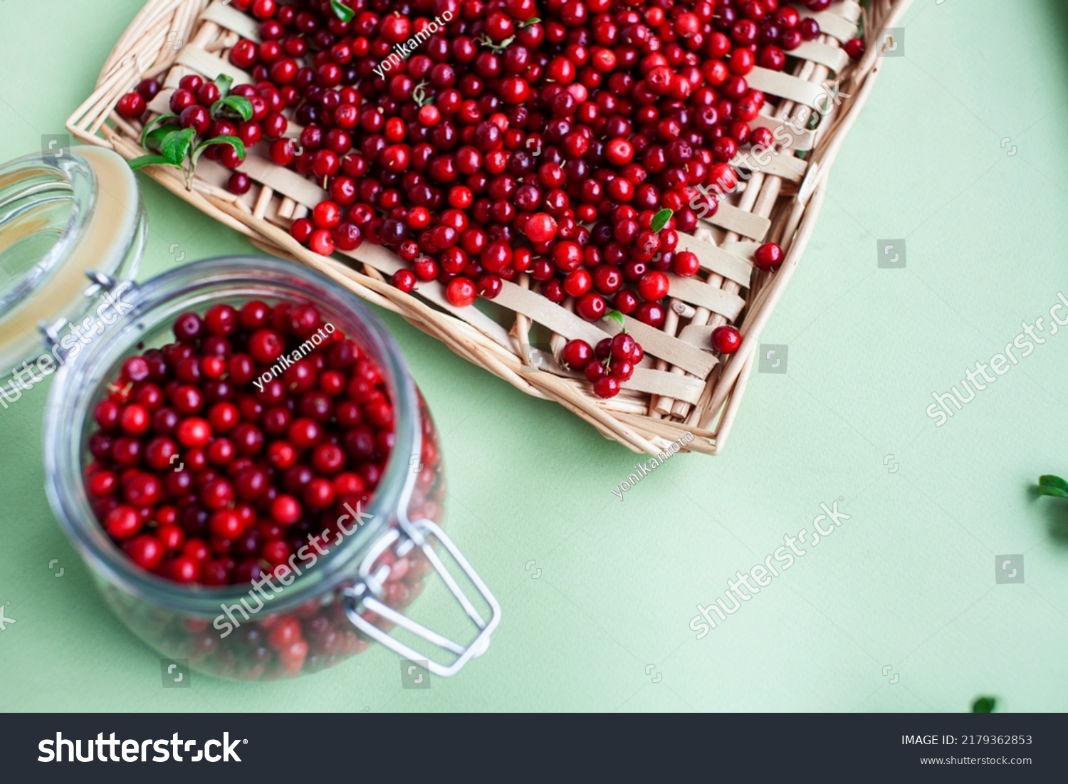 autumn berries on table, lingonberry raw closeup #2179362853
