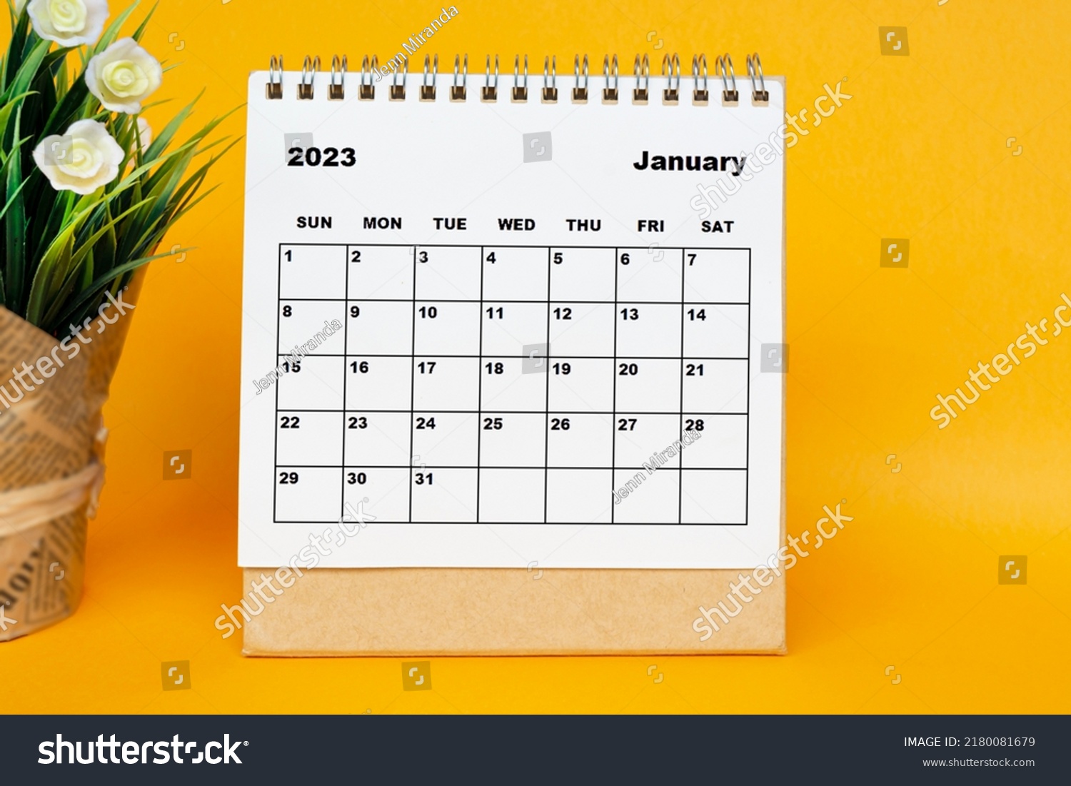 White January 2023 calendar with potted plant on yellow background. 2023 New Year Concept #2180081679