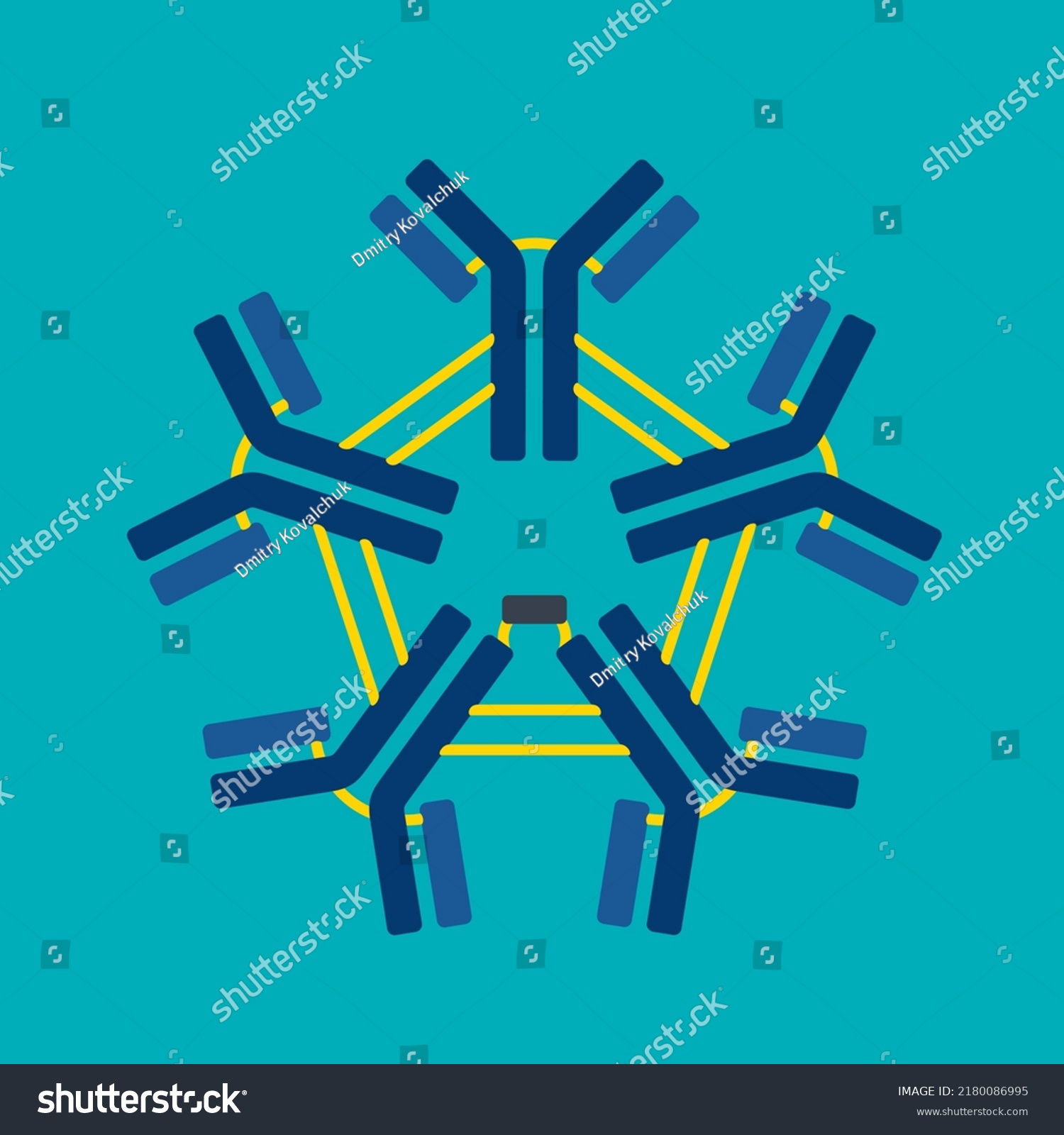 Pentameric IgM structure of Y-shaped - Royalty Free Stock Vector ...