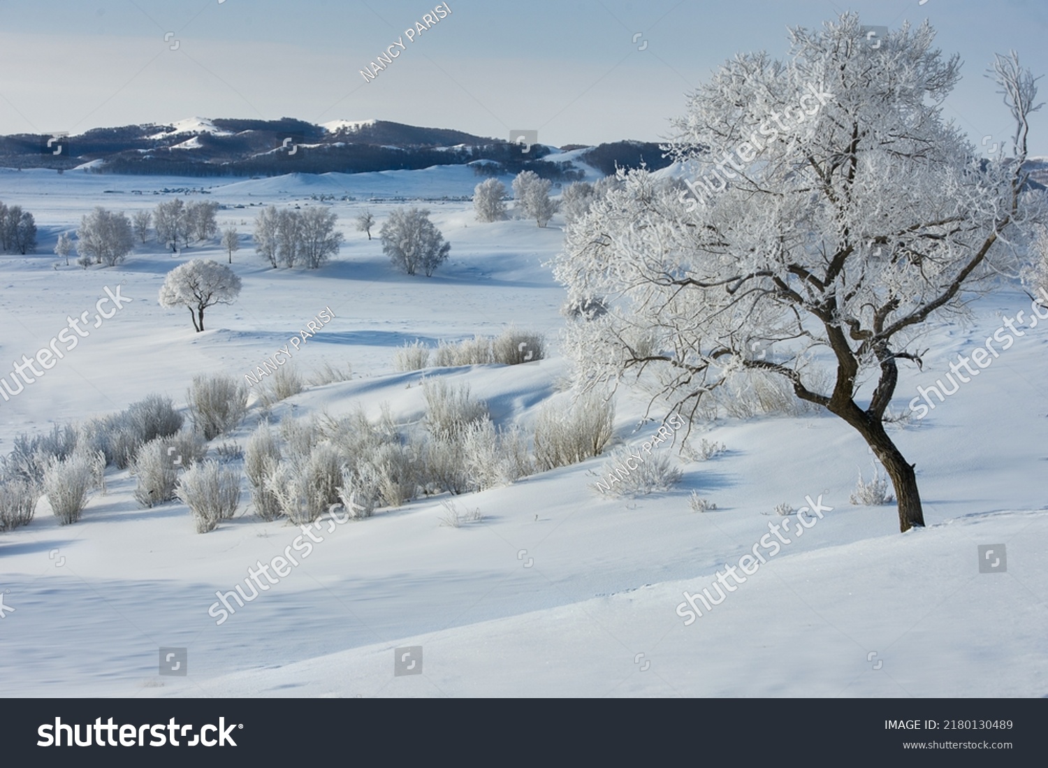 Beautiful highland snow scene #2180130489