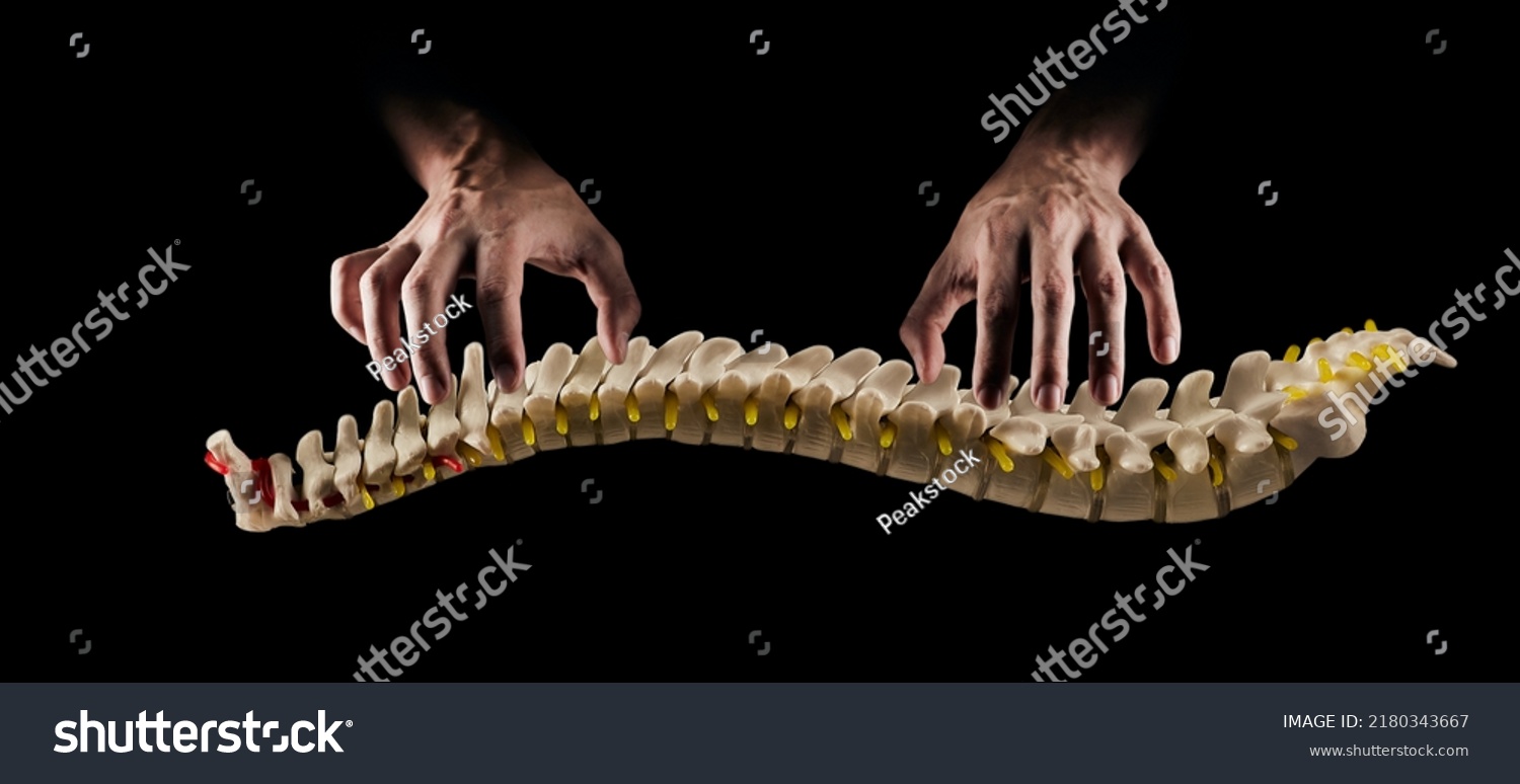 Manual therapist professionally treats human spine or backbone, on black background. Manual therapy concept and osteopathy #2180343667