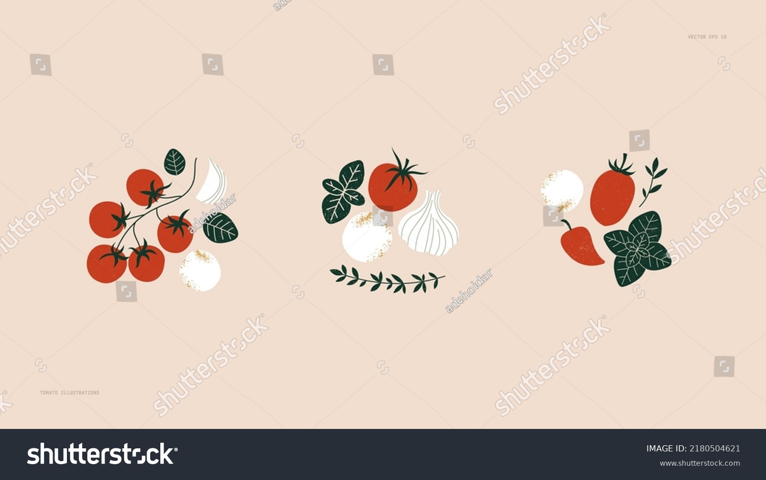 Tomato and basil with mozzarella cheese balls. Food collection. Vector illustration. #2180504621