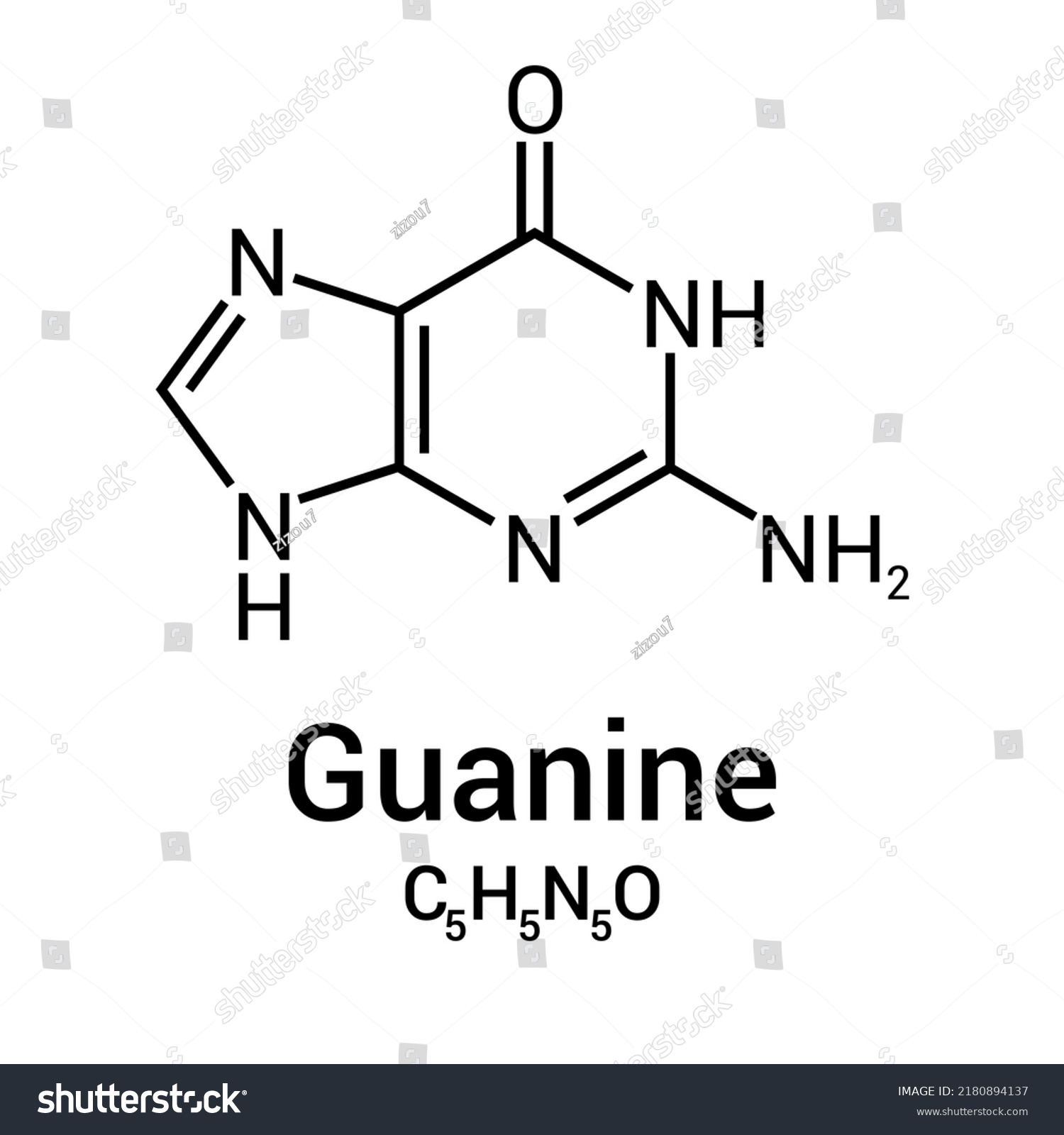 Chemical Structure Of Guanine C5h5n5o Royalty Free Stock Vector 2180894137 1729