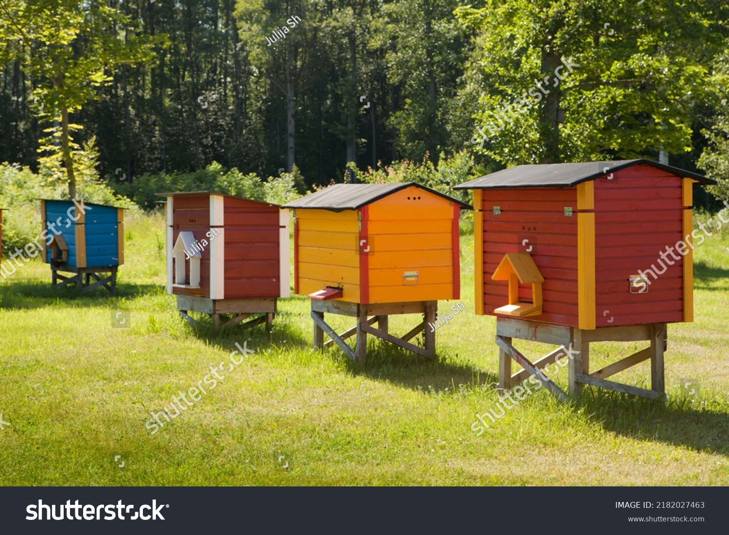 Colorful hives of bees in meadow. Wooden beehives near rape field. sunny summer day #2182027463