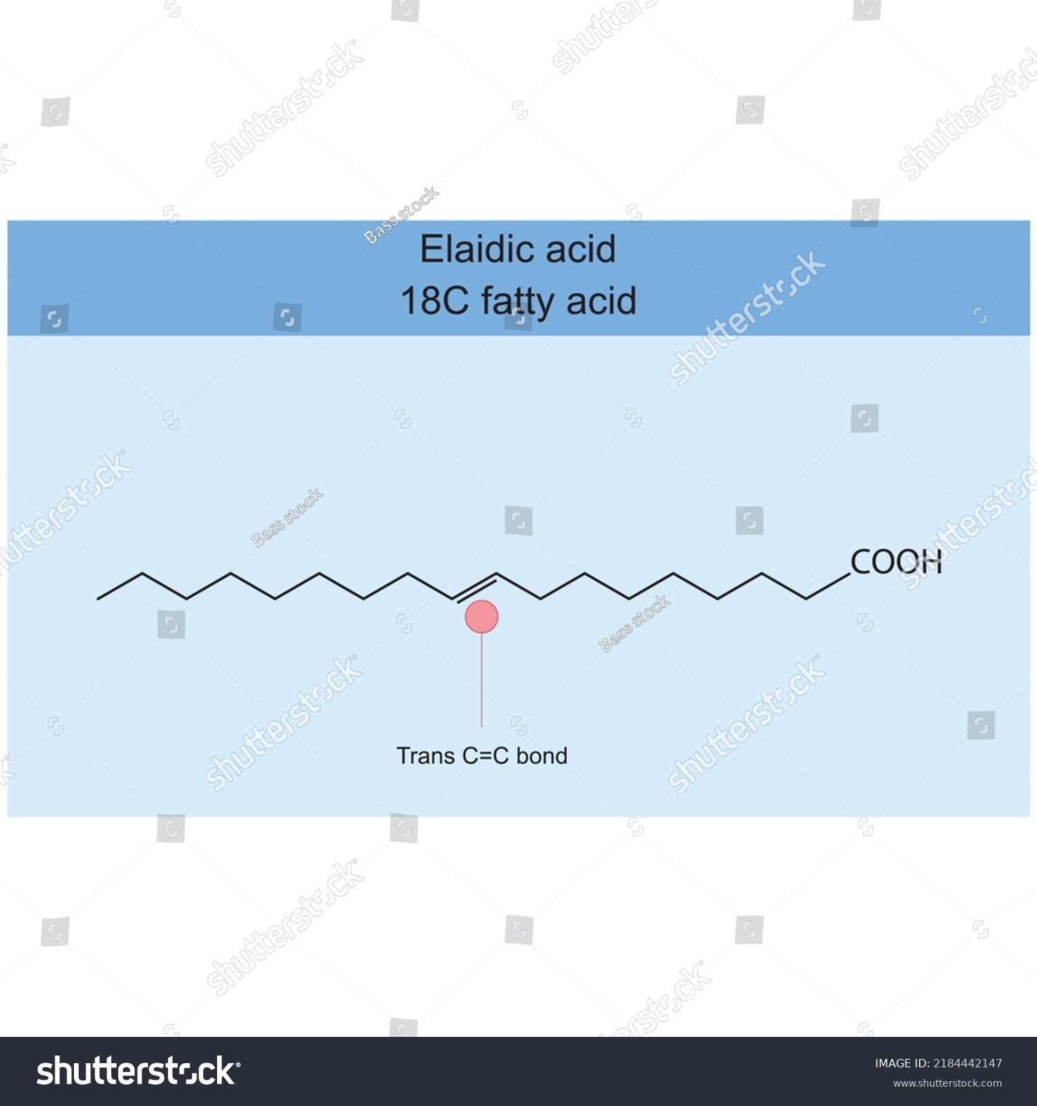 Elaidic acid (18 carbon fatty acid) chemical - Royalty Free Stock ...