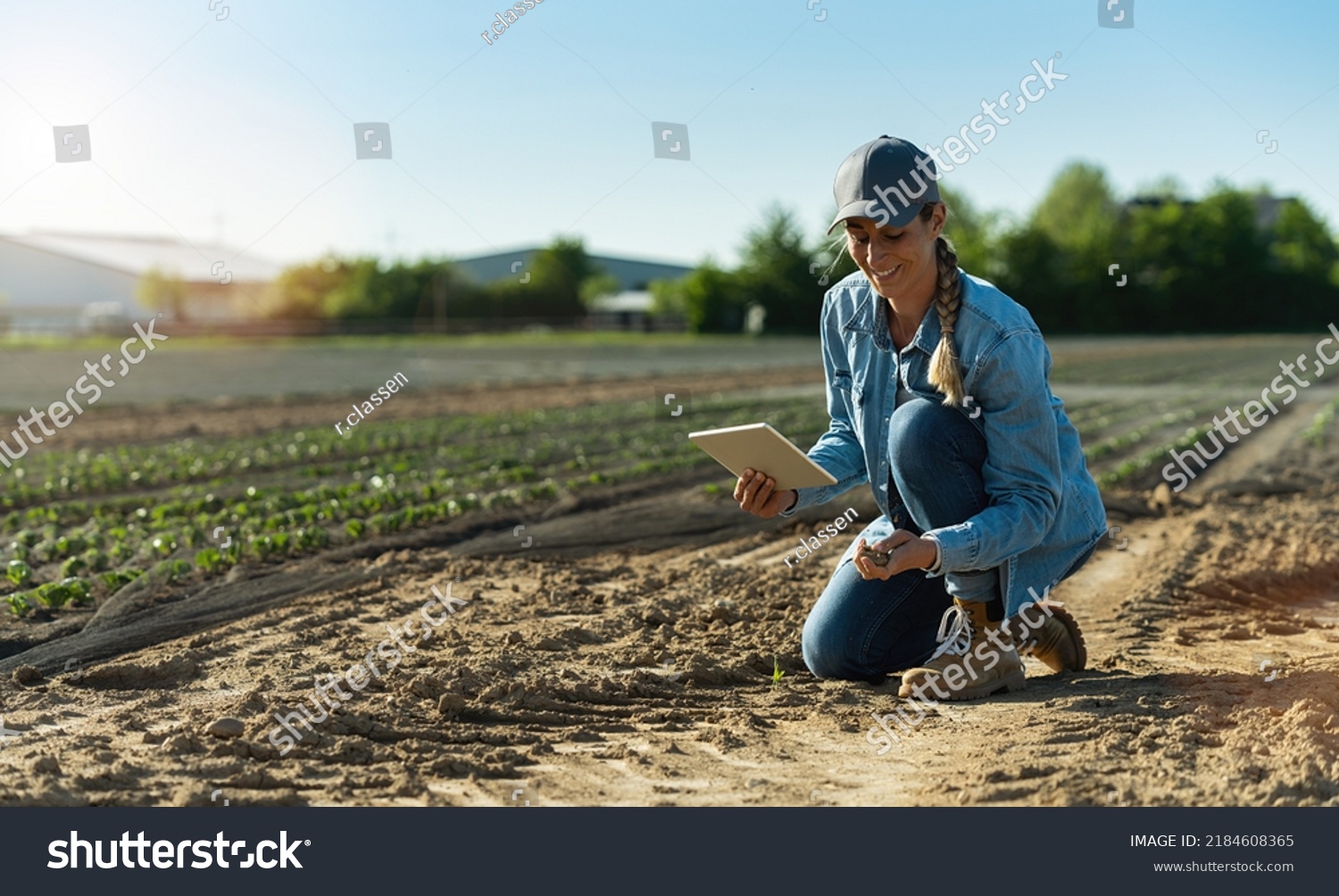 Farmer woman working with tablet on cabbage field. agronomist with tablet studying cabbage harvest growing on dry field.  Agriculture climate change concept image #2184608365