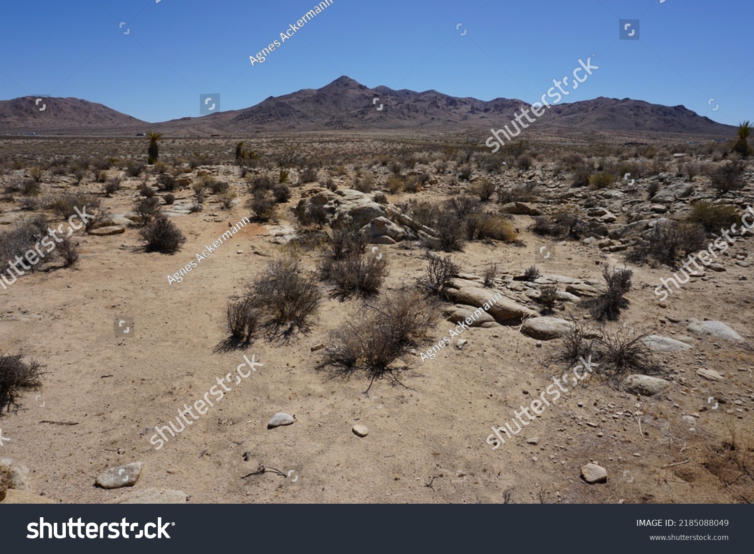 Arid desert landscape of western Mojave desert in California, USA with the dry land of sand and rocks, the dried out bushes and desert vegetation in the foreground and the blue summer sky in the back. #2185088049