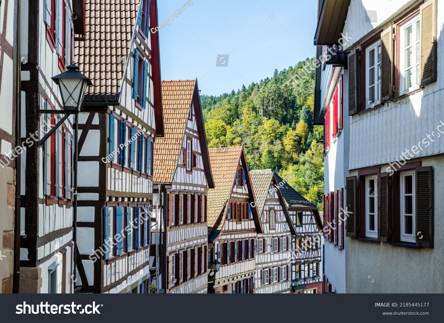 Half-timbered houses in Schiltach in Black Forest, Kinzigtal, Baden-W+rttemberg, Germany #2185445177
