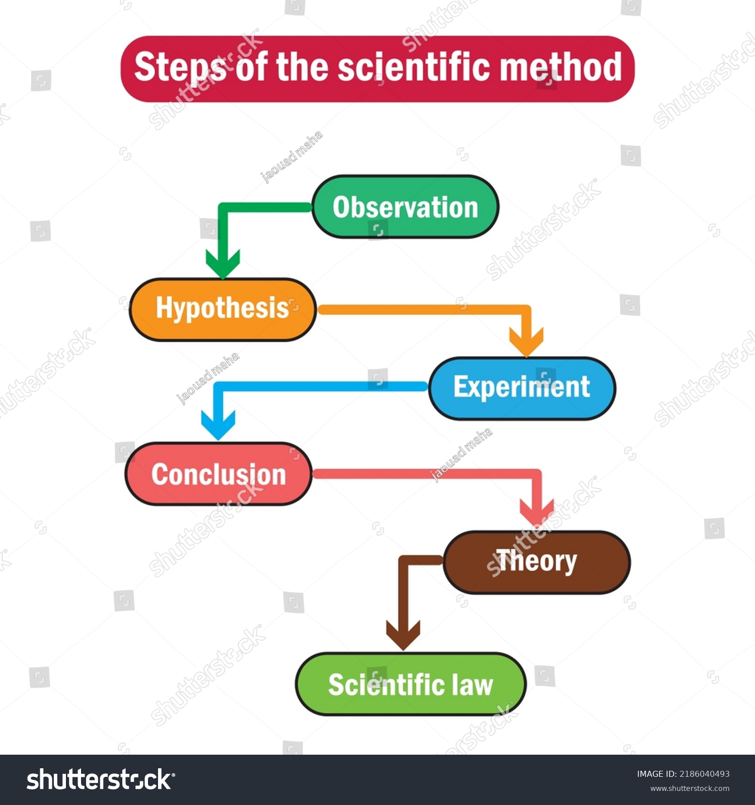 steps hypothesis experiment