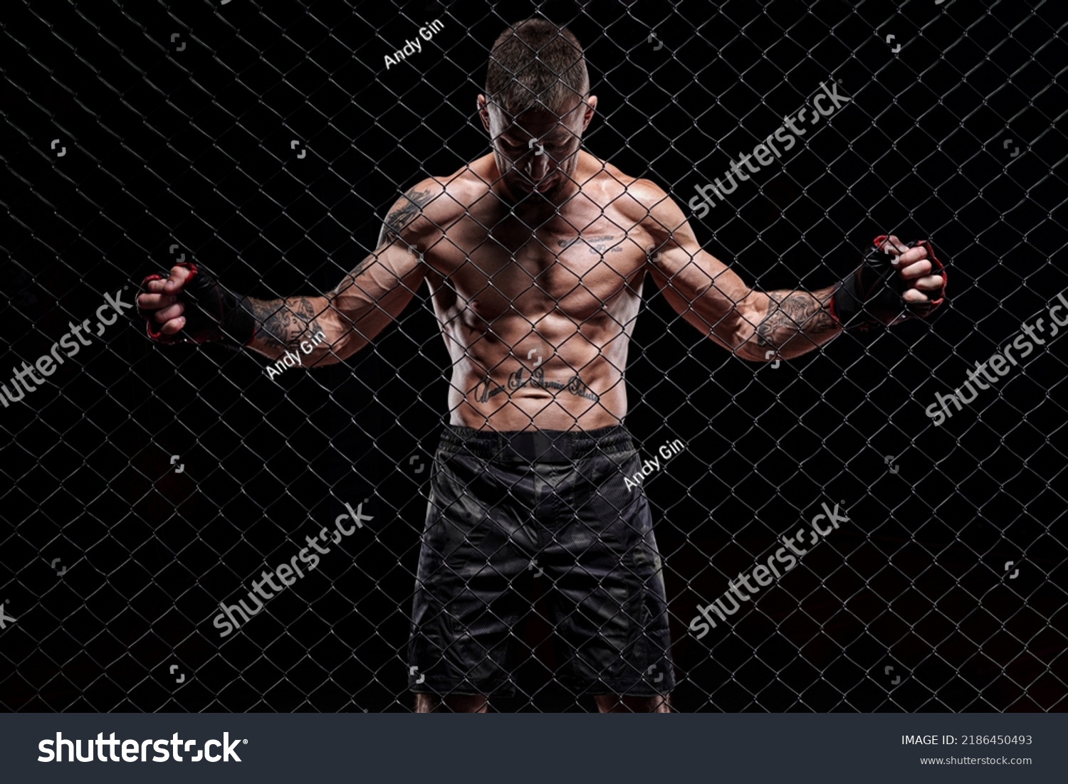 Dramatic image of a mixed martial arts fighter standing in an octagon cage. The concept of sports, boxing, martial arts.  #2186450493
