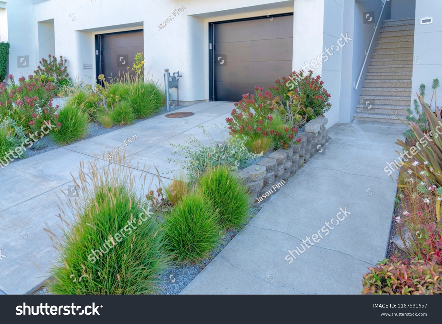 Concrete pathway near the driveway with plants on the side at San Francisco, California. Walkway leading to a concrete stairs on the right beside the two garage with black doors. #2187531657